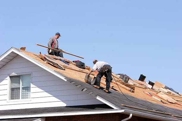 Best Storm Damage Roof Repair  in South Sumter, SC